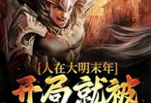 周建安崇祯小说人在大明末年，开局就被暗杀活埋章节免费阅读-薯片文学