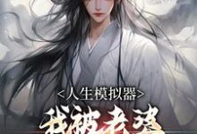 求人生模拟器：我被老婆逼成世间极境小说免费资源-薯片文学