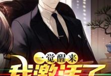 哪里能找到一觉醒来，我激活了祝由术小说的全部章节？-薯片文学