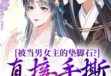 完结版《被当男女主的垫脚石?直接手撕剧本》章节阅读-薯片文学