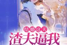 结婚这天，渣夫逼我让出工作给青梅这本小说在哪里可以看？哪里有免费试读章节？-薯片文学