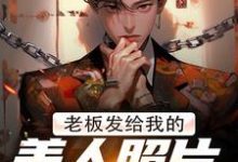 小說《老闆發給我的美人照片是老闆娘》章節免費閱讀-薯片文學