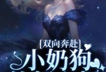 雙向奔赴，小奶狗他超心機章節免費在線閱讀，姜以寧賀馳完結版-薯片文學