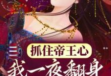 小说《抓住帝王心，我一夜翻身成宠妃》在线章节阅读-薯片文学