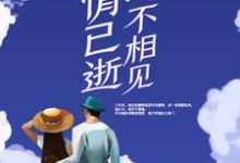 完结版《若情已逝,终不相见》章节目录在线阅读-薯片文学