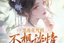 《黑蓮花駕到，不想談情只想晉升》全集免費在線閱讀（林嫵）-薯片文學