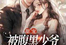 《甜宠：被腹黑少爷藏起来的娇宝》小说章节列表免费试读，沈初棠时承煜小说在线阅读-薯片文学