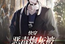 快穿：恶毒炮灰被疯批们强制爱了最新章节，快穿：恶毒炮灰被疯批们强制爱了章节在线阅读-薯片文学