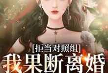 拒当对照组，我果断离婚逃离渣夫江月周颂年，拒当对照组，我果断离婚逃离渣夫章节在线阅读-薯片文学