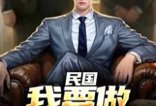 民国:我要做乱世枭雄小说无弹窗阅读的网站推荐-薯片文学
