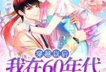 《穿越以后，我在60年代当万人迷》小说章节列表免费试读，林染秋小说在线阅读-薯片文学