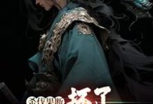 小说《杀伐果断：坏了，穿越成反派了！》在线章节阅读-薯片文学