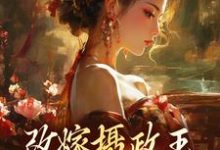 小說《改嫁攝政王，我復仇虐渣妹》在線章節閱讀-薯片文學