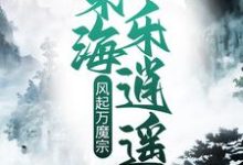 《风起万魔宗,东海乐逍遥》全集免费在线阅读(王铮血云子)-薯片文学