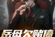 完结版《岳母欠赌债要被砍手？跟我没关系哈》章节目录在线阅读-薯片文学