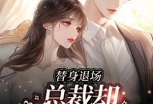 完结版《替身退场，总裁却不乐意了》章节阅读-薯片文学