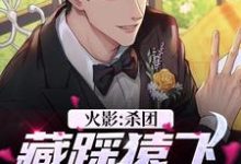 火影：杀团藏踩猿飞，我无敌了最新章节，火影：杀团藏踩猿飞，我无敌了免费阅读-薯片文学