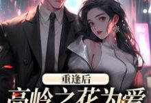 小说《重逢后,高岭之花为爱变身追妻狂魔》在线章节阅读-薯片文学