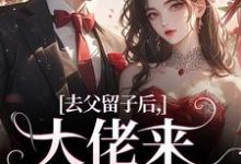 去父留子后,大佬来抓我啦小说全文哪里可以免费看?-薯片文学