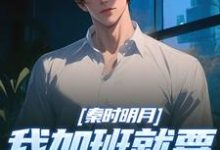 秦时明月：我加班就要被扣经验值小说，秦时明月：我加班就要被扣经验值最新章节-薯片文学