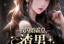 我闪婚霸总，渣男他不干了小说完结了吗？在哪里可以免费读到？-薯片文学