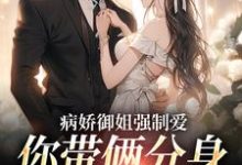 病娇御姐强制爱,你带俩分身过分了江辞,病娇御姐强制爱,你带俩分身过分了章节在线阅读-薯片文学
