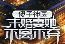 求傻子神医:未婚妻她不离不弃小说免费资源-薯片文学