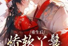 重生后，娇软丫鬟被雄竞了小说无弹窗阅读的网站推荐-薯片文学