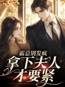 已完结小说《霸总别发疯，拿下夫人才要紧》章节免费阅读