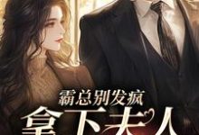 霸总别发疯,拿下夫人才要紧小说完结了吗?在哪里可以免费读到?-薯片文学