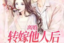 小说《离婚转嫁他人后，渣总急疯了》在线章节阅读-薯片文学