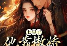 七皇子他靠撒娇博我欢心姜久初小说免费阅读-薯片文学