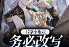 《书穿小炮灰,务必改写好结局》小说章节列表免费试读,顾小溪陆建森小说在线阅读-薯片文学