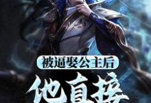 小说《被逼娶公主后，他直接坐了皇位》章节免费阅读-薯片文学