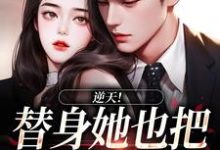 逆天！替身她也把总裁当替身小说，逆天！替身她也把总裁当替身在线阅读-薯片文学