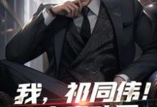 免费在线阅读我，祁同伟！这次真改了小说的正规网站有哪些？-薯片文学