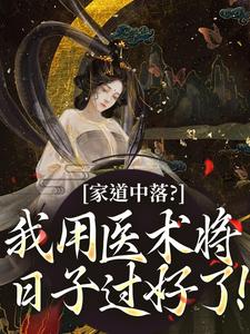 家道中落？我用医术将日子过好了！免费阅读，家道中落？我用医术将日子过好了！章节目录