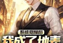 系统觉醒后，我成了地表最强龙傲天小说完结了吗？在哪里可以免费读到？-薯片文学