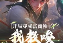 完结版《开局穿成富商独子,我教唆老爹造反》在线免费阅读-薯片文学