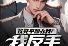 在线免费阅读侯亮平想办我？我反手举报他！完整小说-薯片文学