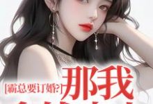 霸总要订婚？那我拿钱走人沈徽林项明峥小说免费阅读-薯片文学