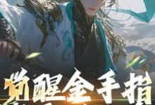 哪里可以免费找到觉醒金手指，我要做人皇？-薯片文学