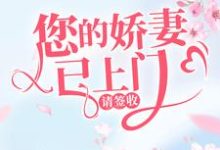 《您的娇妻已上门，请签收》小说大结局免费试读 韩星陆听闻小说-薯片文学