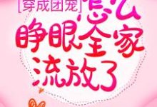 在线免费阅读穿成团宠,怎么睁眼全家流放了?完整小说-薯片文学