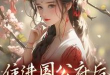 住进国公府后，我成了香饽饽！沈青梨魏缜，住进国公府后，我成了香饽饽！小说免费阅读-薯片文学