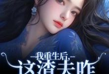 小说《我重生后,这渣夫咋还换人格了》章节免费阅读-薯片文学