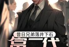 昔日兄弟落井下石，富二代重生了小说，昔日兄弟落井下石，富二代重生了江北叶初然-薯片文学