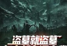 哪里能找到盗墓就盗墓,怎么都在调查我小说的最新更新和免费章节?-薯片文学