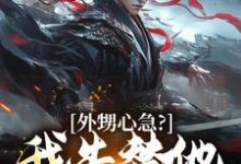 完结版《外甥心急？我先替他打江山》在线免费阅读-薯片文学