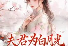 完结版《夫君为白月光守身如玉?我成全!》章节阅读-薯片文学
